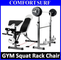 Multifunction Professional GYM Dumbbell Chair + Weight Lifting Squat Rack Bench