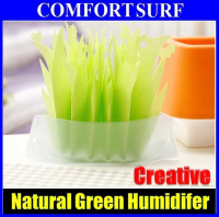 Creative Non-electric Eco-friendly GREEN Natural Evaporating Transforming Humidifier