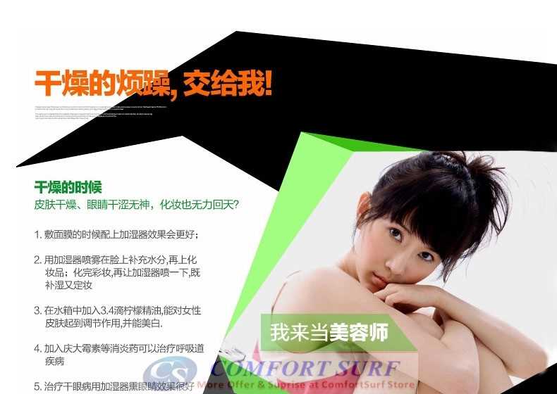 Schand Dual Head 3L Tank Capacity ultrasonic Air Humidifier Purifier Aromatic Therapy