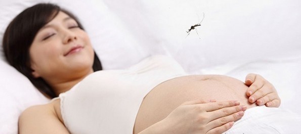 Electric Saving Mini Portable Electrical Mosquito Killer Lamp