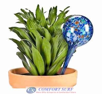 Aqua Globes Auto Watering Plants