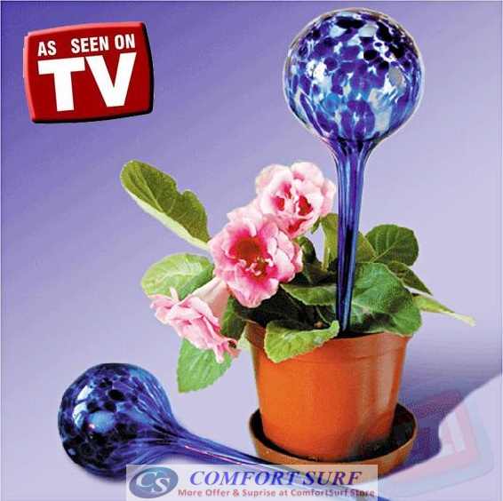 Aqua Globes Auto Watering Plants