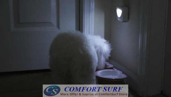 Indoor & Outdoor Mighty High Power LED Light