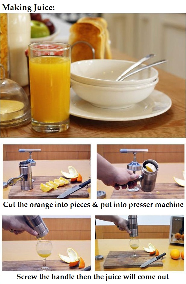 Stainless Steel Manual Noodle Press / Extract Juice Pressure Surface Machine