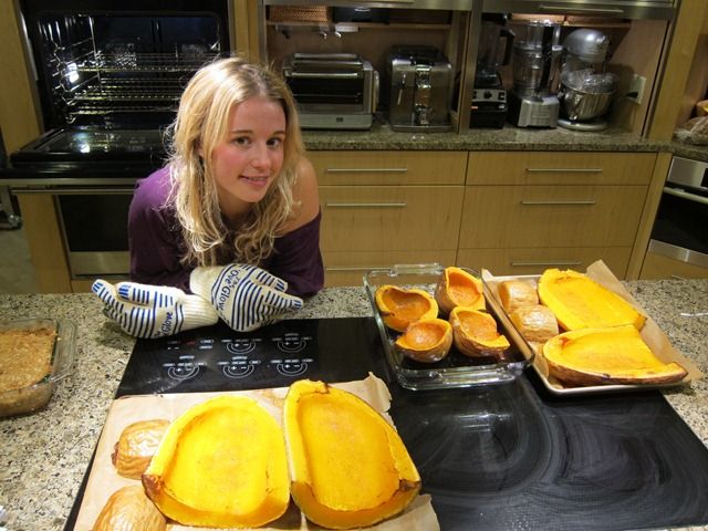 The 'Ove' Glove - Hot Surface Handler with Non-Slip Silicon Grip