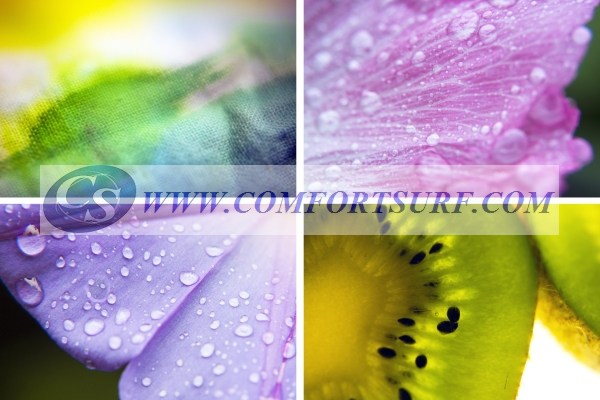 Wide/Macro Lens-Magnet Mount Conversion Lens for Mobile Phone & Digital Cameras