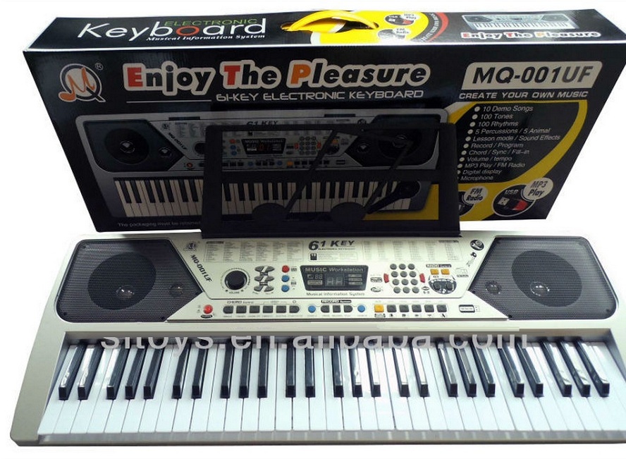 61 Keys Electronic Piano Keyboard with USB Port / MP3 Player / FM Radio Player