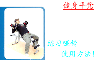 NEW Professional Multifunction ABS Six Pack Care Gym AB Fitness Sit Up Dumbbell Bench Chair