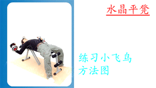 NEW Professional Multifunction ABS Six Pack Care Gym AB Fitness Sit Up Dumbbell Bench Chair