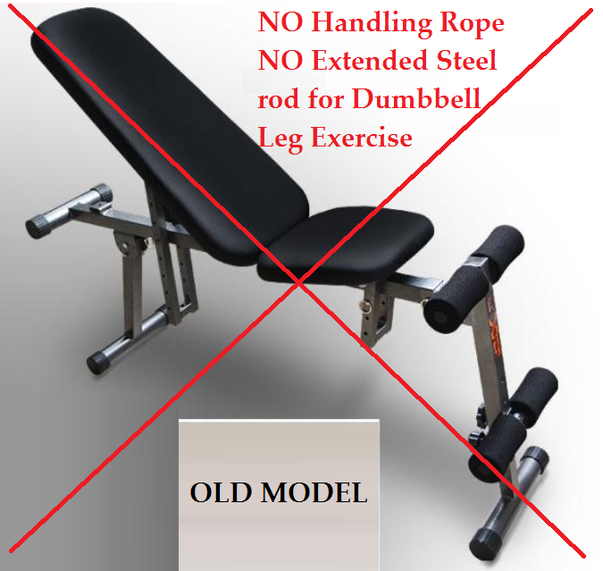 NEW Professional Multifunction ABS Six Pack Care Gym AB Fitness Sit Up Dumbbell Bench Chair