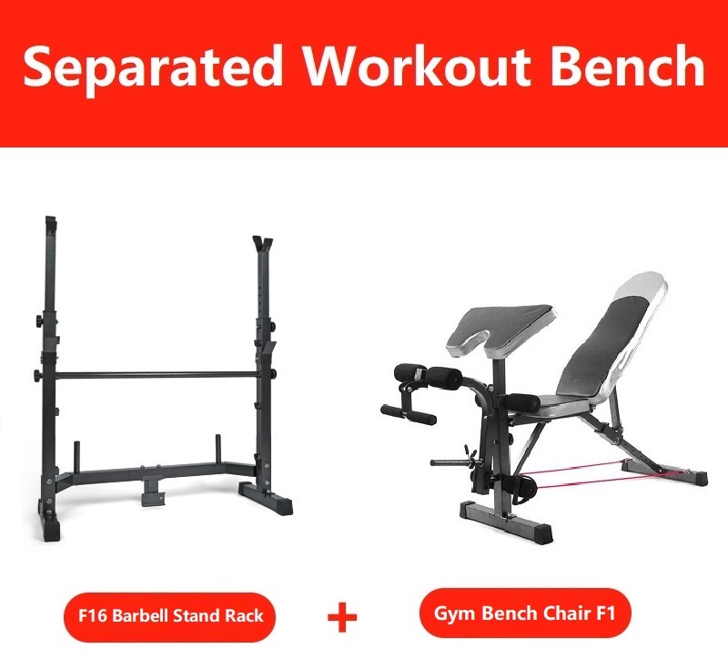 F1 Professional Multifunction Gym Fitness Sit Up Dumbbell FID Bicep Leg Curl Bench Chair