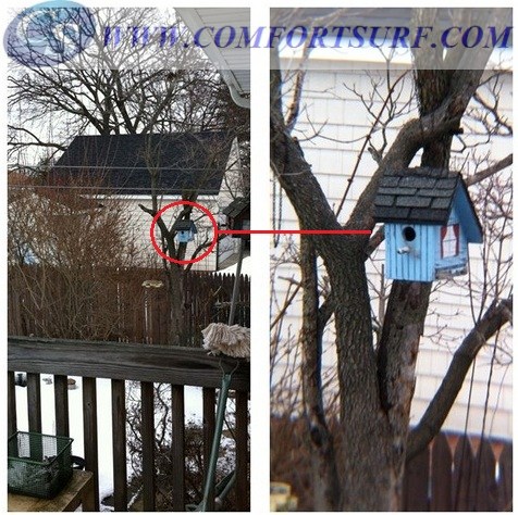 8x Zoom Detachable Optical Lens for Mobile Phone Telescope with Universal Holder