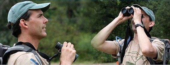 Genuine Panda HD High-Powered Night Vision Binocular Telescope 20x50WA