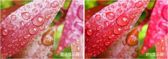 Ainol Novo 7 Venus Picture