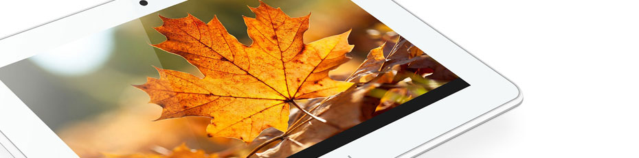 Ainol Novo 7 Venus From Comfort Surf